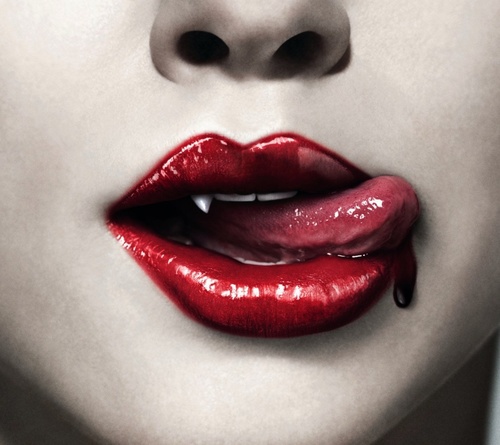 lovelisa1313's profile picture. 