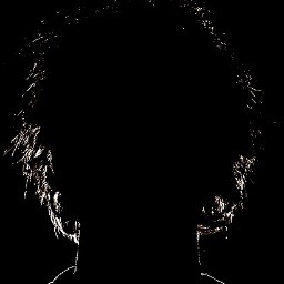 Tata_Sadek's profile picture. 