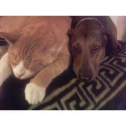 akua1162's profile picture. Music is my passion. Nursing is my nature. 
It's all about LOVE.