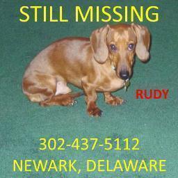 Rudy got lost from the pet sitter's home in Newark, DE. I'm his mom and his voice.  I am registered as a Democrat, but I'm also a fiscal conservative.
