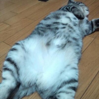 タカトオヒロ