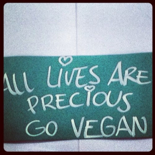 berlinveganlove's profile picture. These are tweets of our blog! Its about recipes, vegan places, we find everywhere we travel and inspiration for a healthy and ethically life 3