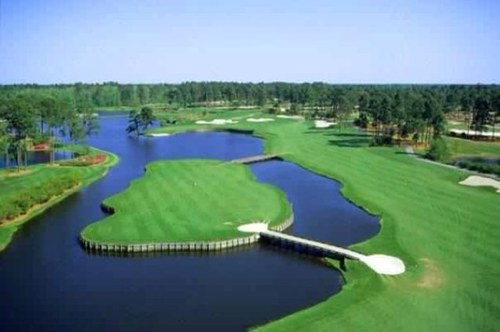 pglaze1's profile picture. 