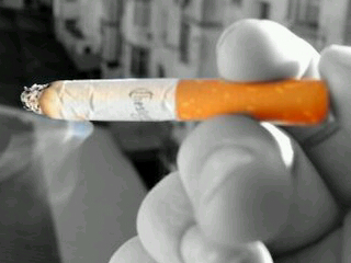 mis carvis, de lo mejorcito.
