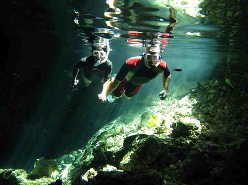 tarahmisu123's profile picture. 