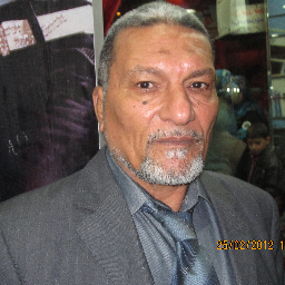 mostafaalim11's profile picture. 