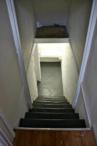 CellarShows's profile picture. Cellar Shows are a series of exhibitions with an unforeseeable date of discontinuation curated by Ellen Sankey and Alfie Strong.