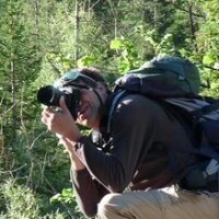 G (@gefoxhill) 's Twitter Profile