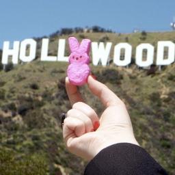 I'm not trying to conquer Hollywood. I love my day job.