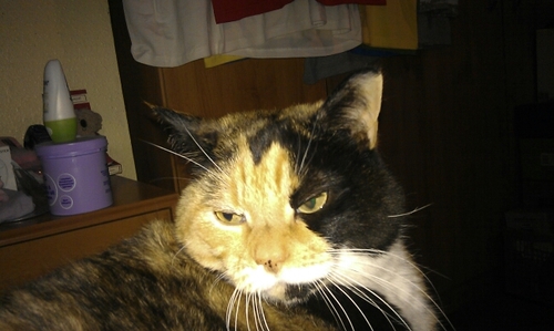 SusanjaHall's profile picture. mum, daughter, sister, Auntie and friend