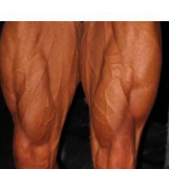 LEGS IS IMPORTANT PART OF YOUR BODY, DON'T NEGLECT IT!