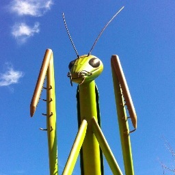 KokomosMantis's profile picture. People watcher, very raw insect connoisseur, super into molecular gastronomy and proud parent to several hundred amazing kids. GO COLTS!