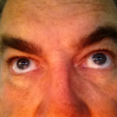 kahlmeter's profile picture. 