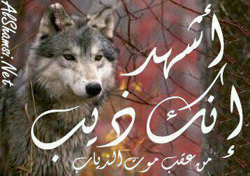 لا اله الا الله محمد رسول الله حملة الا رسول الله لنصرة النبي (عليه الصلاة والسلام) للاشتراك بالحملة ارسل كل ما هو جميل عن النبي واتمنى لكم الأجر