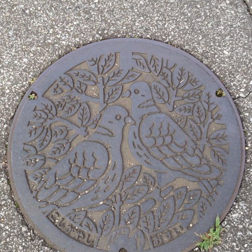 hyrskbfigh's profile picture. 