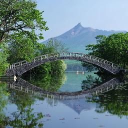 wizardewu's profile picture. 