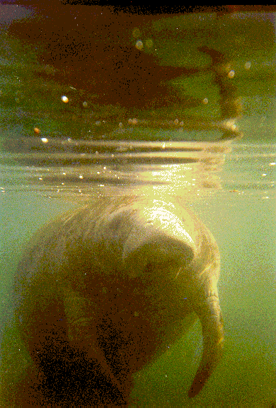 Valpal18's profile picture. 