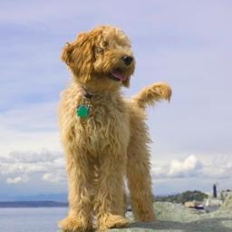 creativa1251's profile picture. 