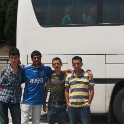 enes ibis