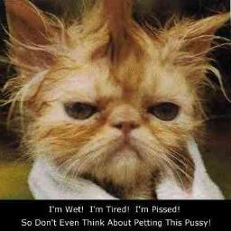 donaldnancy's profile picture. 