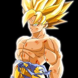hi i'm goku from dbz brust limit