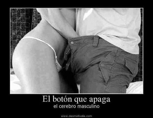 N0Miento's profile picture. 