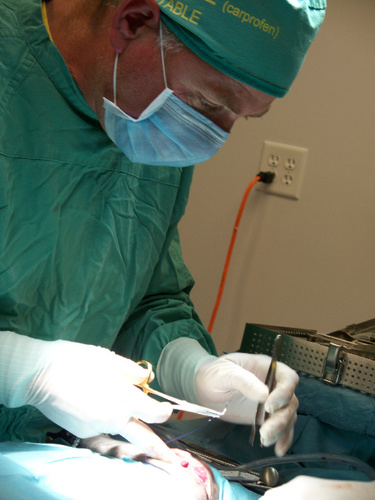 ER Veterinarian, PETS Emergency of Northern Colorado.