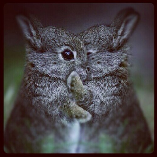 becca_ywm's profile picture. 