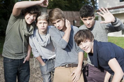 Directioner,Belieber,Lovatic