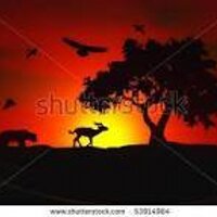 Tourism Kenya ® (@tourismke) 's Twitter Profile