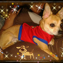 Darcy Maciel Adames - @dadamesp - Twitter