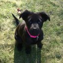 Taryn Murphy - @NikeNoodle11 - Twitter