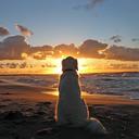 Heather Margeson - @HeatherMargeson - Twitter