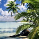 rick yeager - @YeagerRick - Twitter