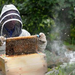 Yorkshires award winning Beekeepers artisan  honey producers and Leeds United fan. stickey2018@gmail.com 
Tel 0791 771 6950