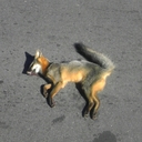 Adrian cherry - @Adrian68693063 - Twitter