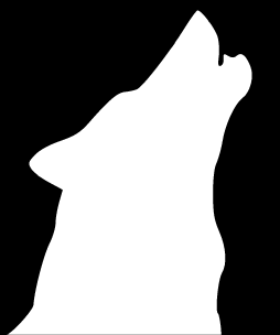 Wolfpack Publishers Profile