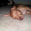 danielle hasty - @danielle_hasty - Twitter