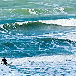 Husband. Father. Scientist. Surfer. ESA Euclid Science Lead.