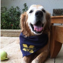 GoBlueThenNow's profile picture. Go Blue Then & Now twitter is used to share links to alumni sponsored charity events and camps and community contribution news