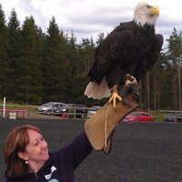 Alison Downie (@ad13slt) 's Twitter Profile Photo Alison Downie (@ad13slt) 's Twitter Profile Photo