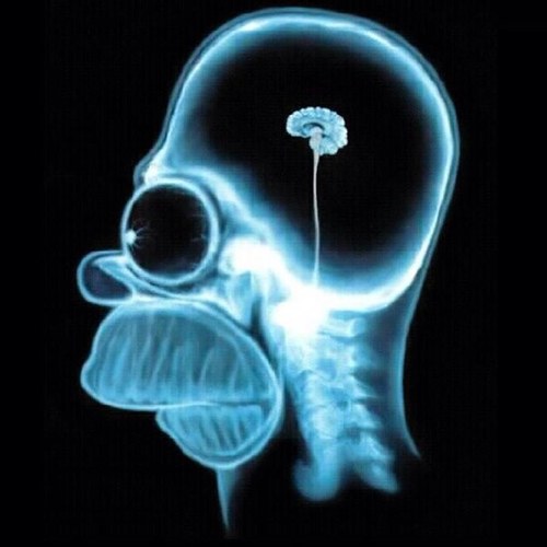 RobertBarlog's profile picture. 