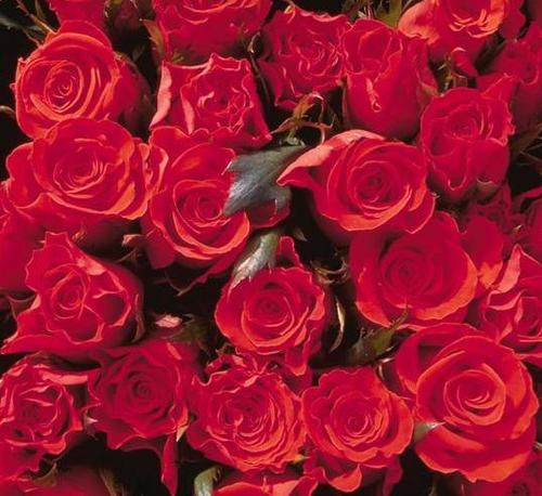 nuhanukity's profile picture. أستاذ التصميم الداخلي📍 حساب شخصي📍