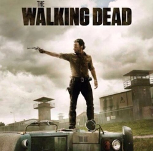 AMC The Walking Dead fanbase (Not Actual Walking Dead Twitter page).                               Fight the dead, Fear the living