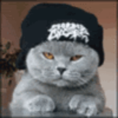 DotNetTech's profile picture. 