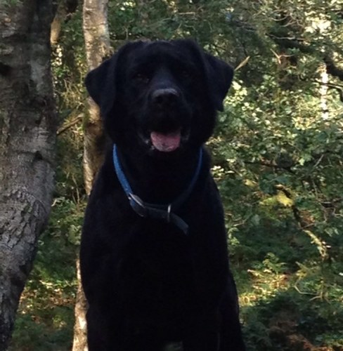 mrporthal's profile picture. 