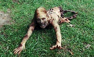 ZOMBIES. Follow us on twitter, facebook, and check out our blog/webshow @ http://t.co/Ova0RXLp and http://t.co/2VSFoRFF