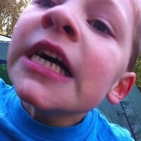 Mylo Turnbull (@mylo) 's Twitter Profile