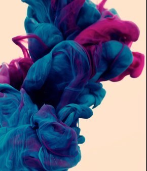 dani6591's profile picture. 