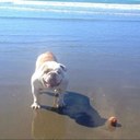 Louis Roach - @cockusroachius - Twitter